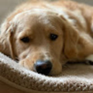 Meet your Posher, Mac